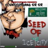 Seed of Ice City, 2017
