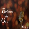 Boleros de Oro (Vol. 1)