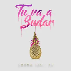Tu Va a Sudar (feat. FJ) Song Lyrics