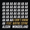 U Don't Know (feat. Wayne Coyne) [Remixes] - EP, 2015