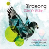 Birdsong / Cân Yr Adar (with Sinfonia Cymru) artwork