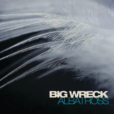 Albatross - Single - Big Wreck