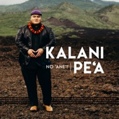 Ke 'a'a O Na Lani artwork