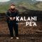 Ke 'a'a O Na Lani artwork