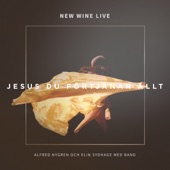 Jesus Du förtjänar allt (feat. Alfred Nygren & Elin Sydhage) [New Wine Live] artwork