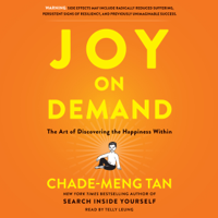 Chade-Meng Tan - Joy on Demand artwork