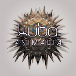 Kuba - Before They Slip Away
