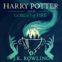 J.K. Rowling - Harry Potter and the Goblet of Fire artwork