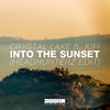 Into the Sunset (feat. KiFi) [Headhunterz Radio Edit] - Single artwork