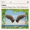 Losing My Religion (feat. Pearl Andersson) - Lokee lyrics