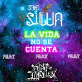 La Vida No Se Cuenta (feat. Ana Tijoux) artwork