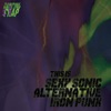 This Is Sexy Sonic Alternative Iron Punk