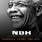 Mandela Under the Sun (feat. Soweto Gospel Choir) - Natural Born Hippies lyrics