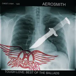 Tough Love: Best of the Ballads - Aerosmith