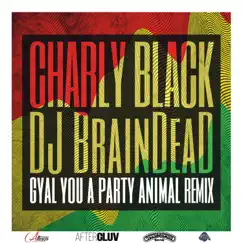 Gyal You a Party Animal (DJ BrainDeaD Remix) Song Lyrics