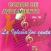 Coros de Avivamiento, Vol. 18 artwork