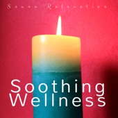 Soothing Wellness: Sauna Relaxation, Zen Spa Tracks, Sauna Relaxation, Well-Being Music with Natural Sounds artwork