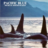 Pacific Blue (Musical Soundscapes) artwork
