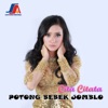 Potong Bebek Jomblo - Single