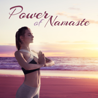 Core Power Yoga Universe - Power of Namaste: Living in Harmony with Yourself artwork