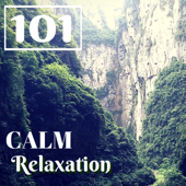 Calm Relaxation 101 - Deep Zen Ambient Music, Relaxing Nature Tracks for Spiritual Connection - Relaxing Spa Music Master