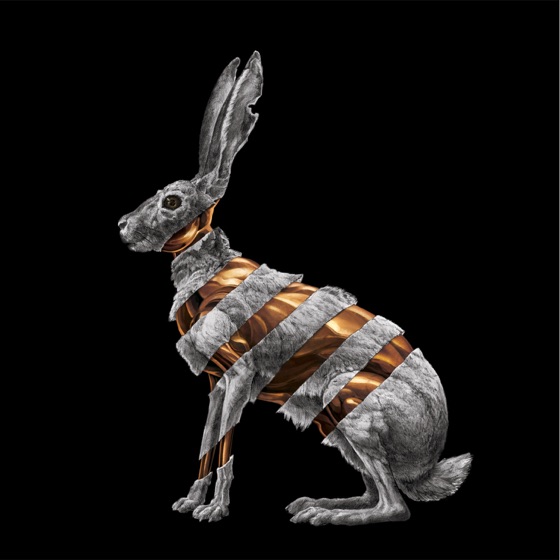 Cover artwork for Astronaut
