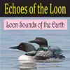 Echoes of the Loon (Loon Sounds of the Earth) album lyrics, reviews, download