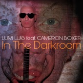 In the Darkroom (feat. Cameron Boxer & Luis Miguélez) artwork