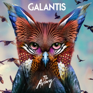 Galantis - True Feeling - Line Dance Music