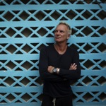 Sting