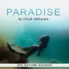 Stream & download Paradise in Your Dreams: Spa Nature Sounds for Deep Relaxation, Natural Therapy & Magic Sleep