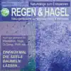 Regen & Hagel - weicher Hagelregen mit Hagelkörner-Geräuschen - Naturklänge zum Entspannen (feat. rain hail) album lyrics, reviews, download