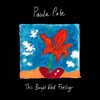 Paula Cole - Hush, Hush, Hush (Live)