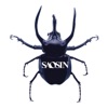 Saosin, 2006