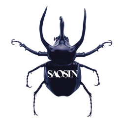 Saosin - Voices