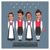 Snakke Norsk - Single