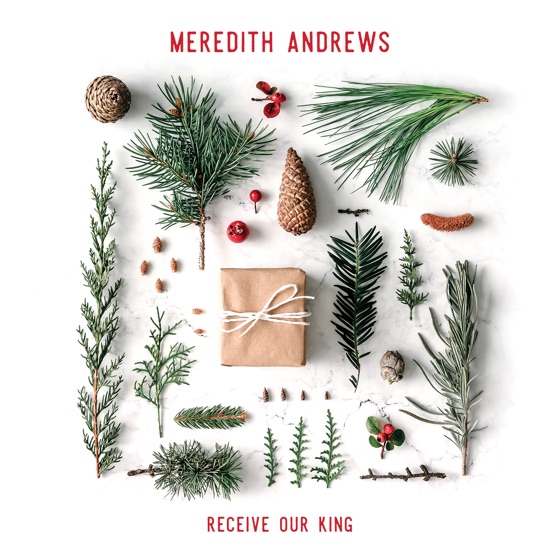 Cover artwork for He Has Come for Us (God Rest Ye Merry Gentlemen)