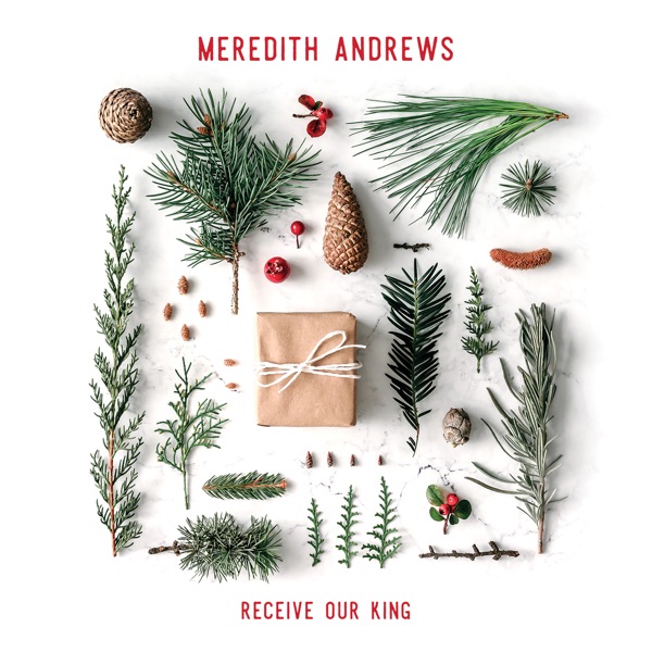 Meredith Andrews - He Has Come For Us (God Rest Ye Merry Gentl