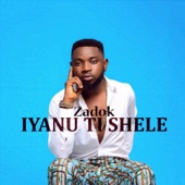 Iyanu Ti Shele artwork