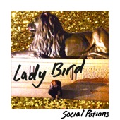 LADY BiRD - Spoons