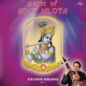 Radha Aisi Bhai Shyam Ki Diwani (Live) artwork