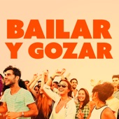 Bailar Y Gozar artwork