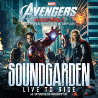 Soundgarden - Live to Rise artwork