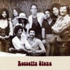 Rossetta Stone - Single