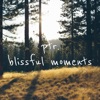 Blissful Moments - Single