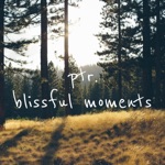 Blissful Moments
