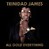 All Gold Everything artwork