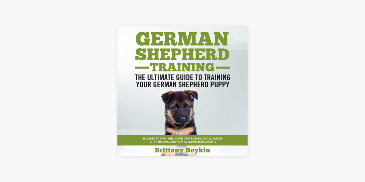 how to train your german shepherd to sit