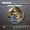 Schall und Rauch - Midiride & Liquid Space lyrics