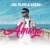 Sol Playa y Arena - Single